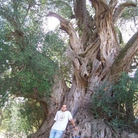 Viaggio in Sardegna